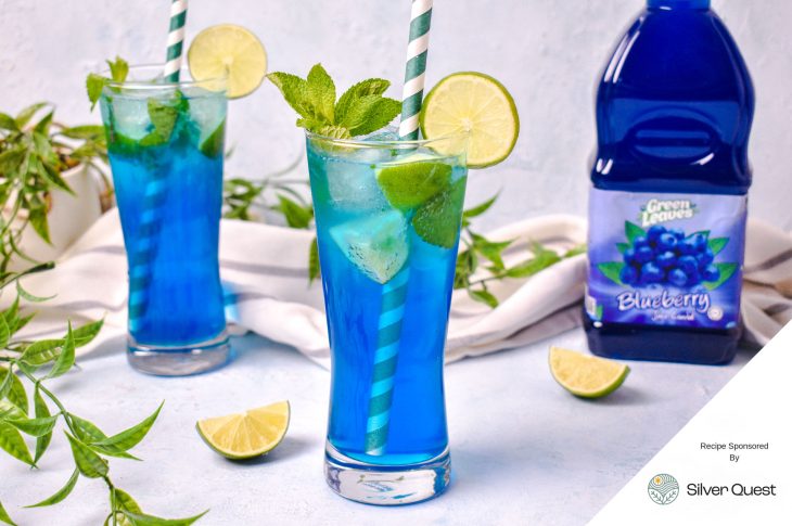 Blueberry Mocktail