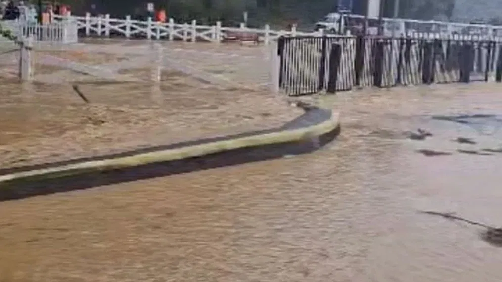 Dollywood Flooding