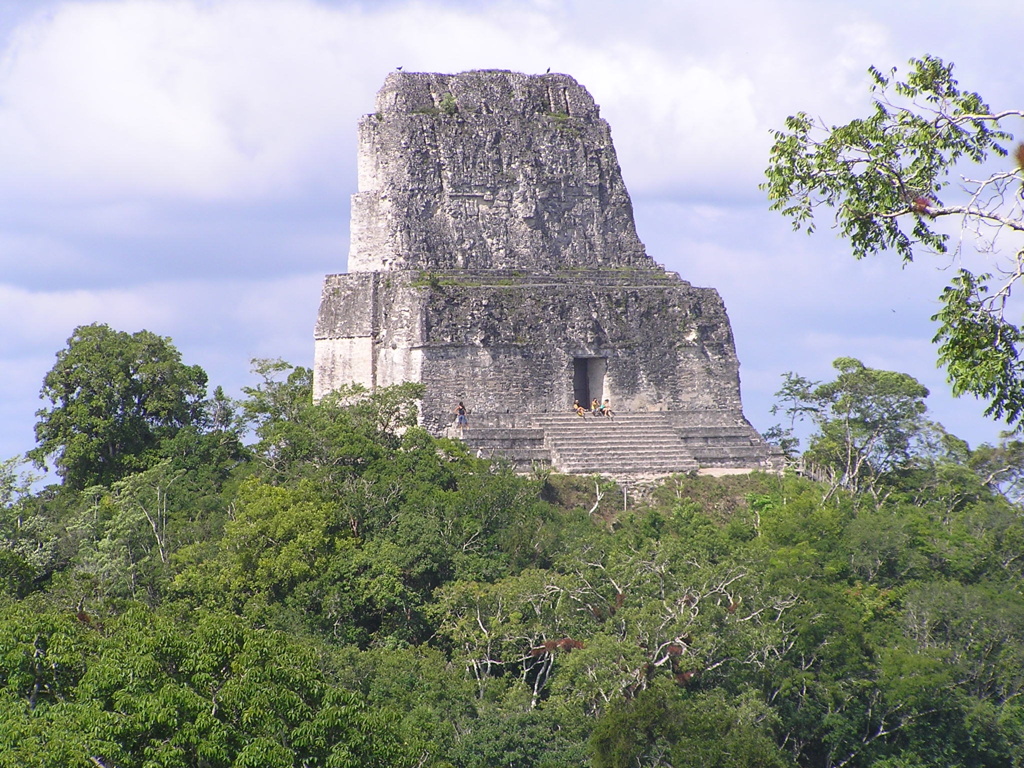 A view from the top of Tikal Temple IV, overlooking the dense canopy of the rainforest and scattered ruins of Tikal 