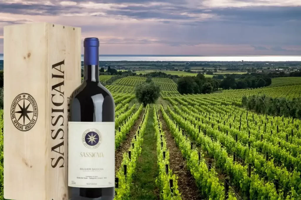 The Importance of Terroir in Producing Sassicaia