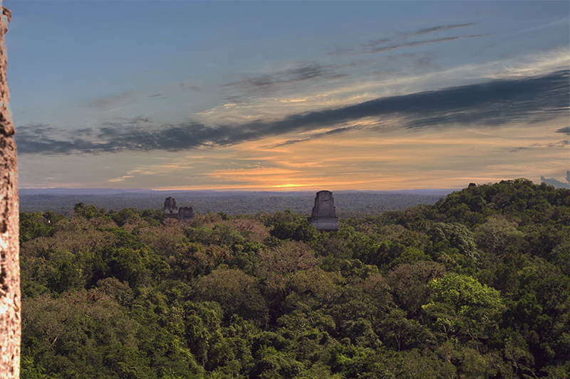 The steep staircase leading to the summit of Tikal Temple IV, offering panoramic views of the surrounding jungle 