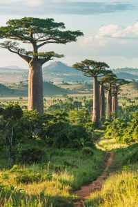 Pulau Madagascar