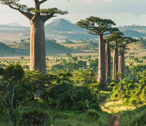 Pulau Madagascar