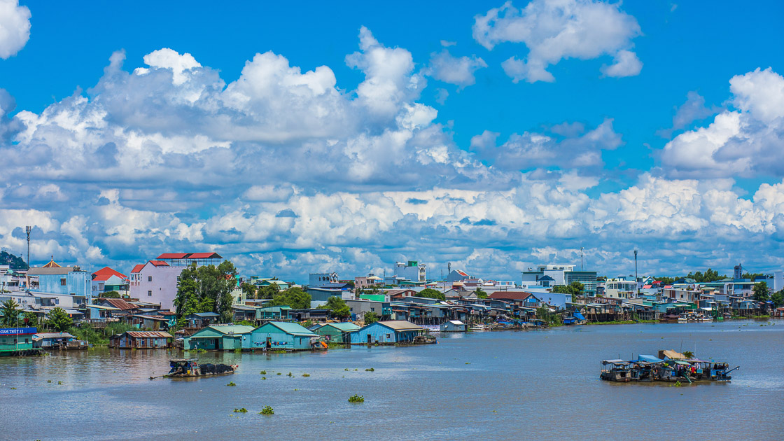 Mekong Delta mangrove forest teeming with life during monsoon 