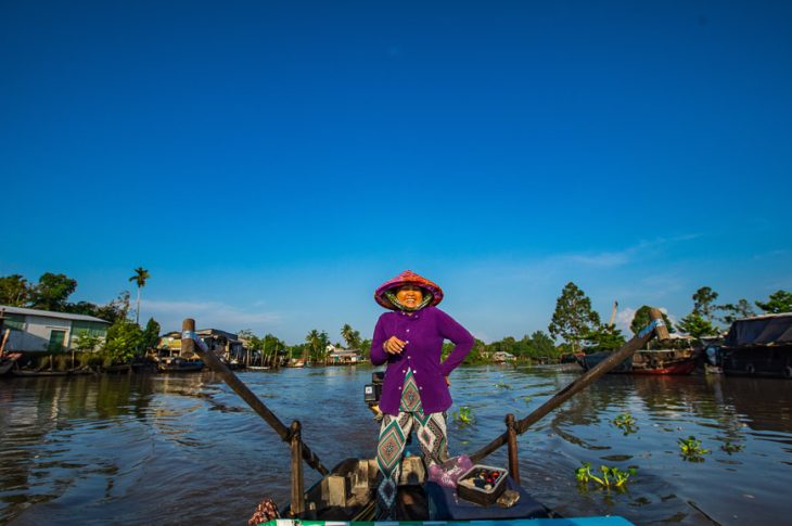 Lush rice paddies in the Mekong Delta during the rainy season