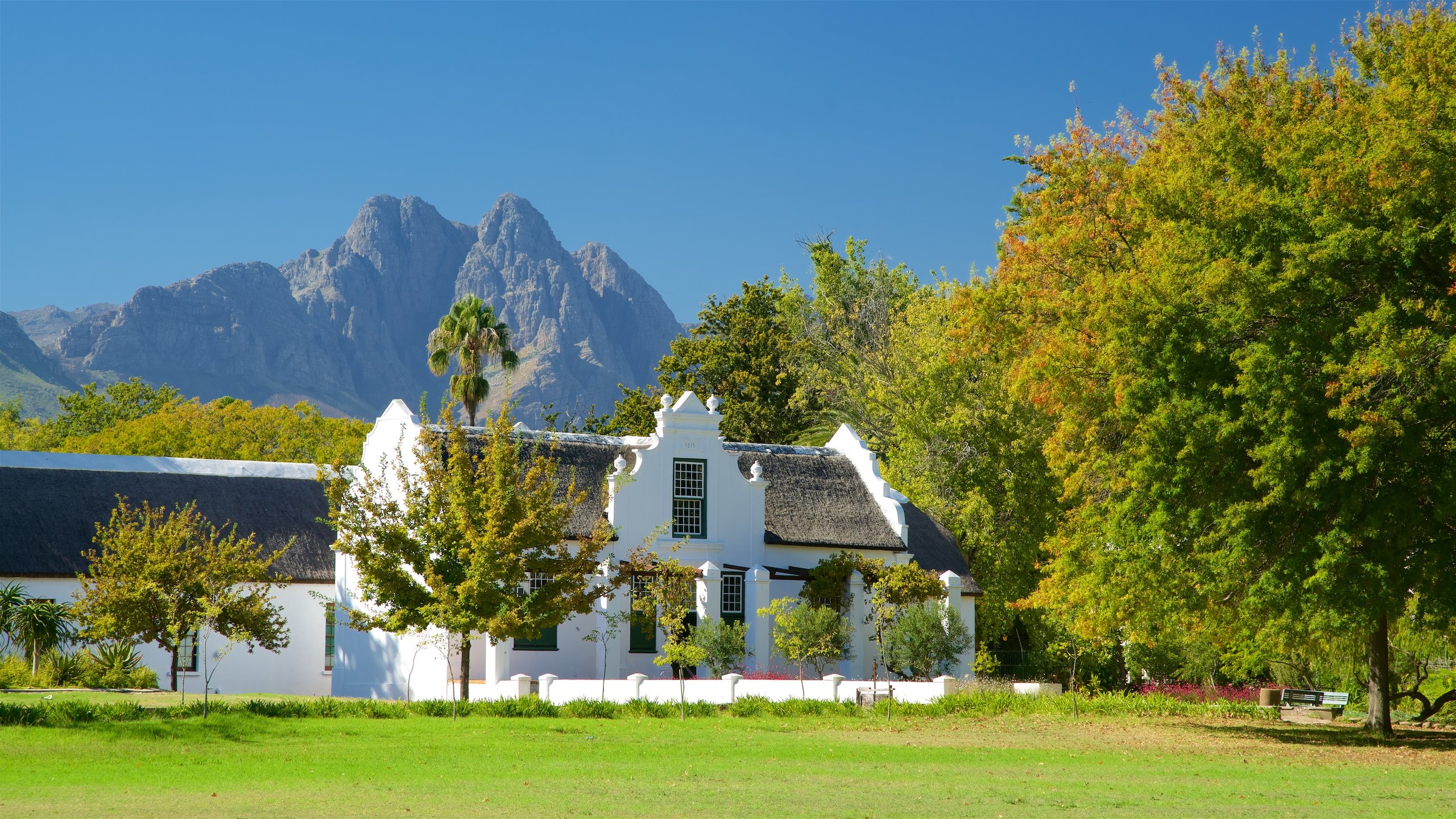 Wine tasting in Stellenbosch’s scenic vineyards 