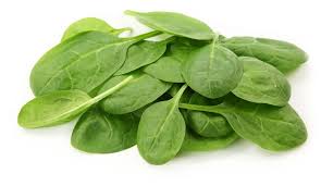 Spinach Leaf