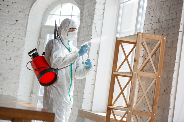 Jasa Disinfektan Rumah