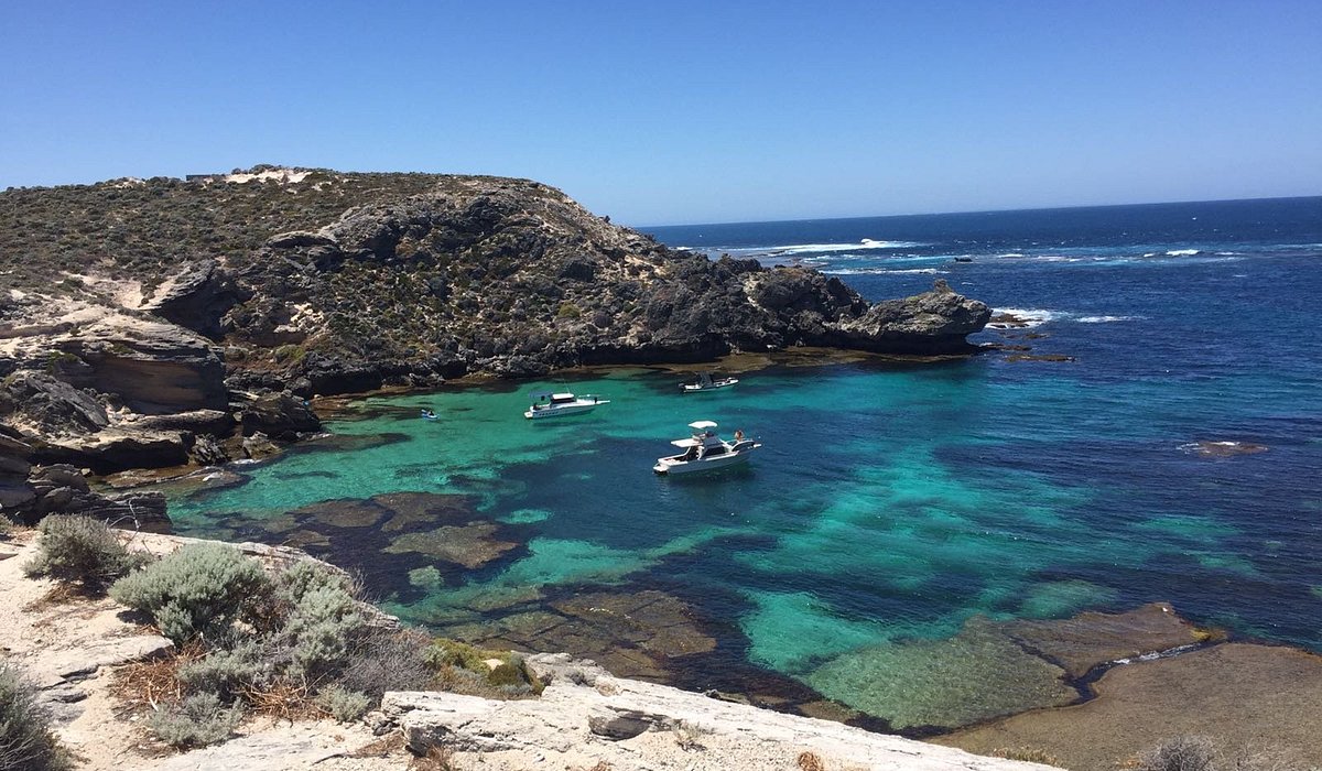 keunikan Pulau Rottnest