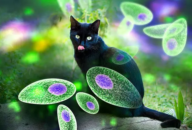 Langkah Strategis Mengatasi dan Mencegah Penularan