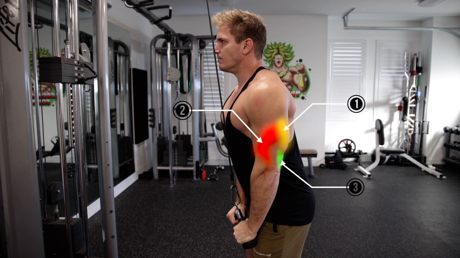 Variasi Alat push down tricep untuk Stimulasi Otot yang Berbeda