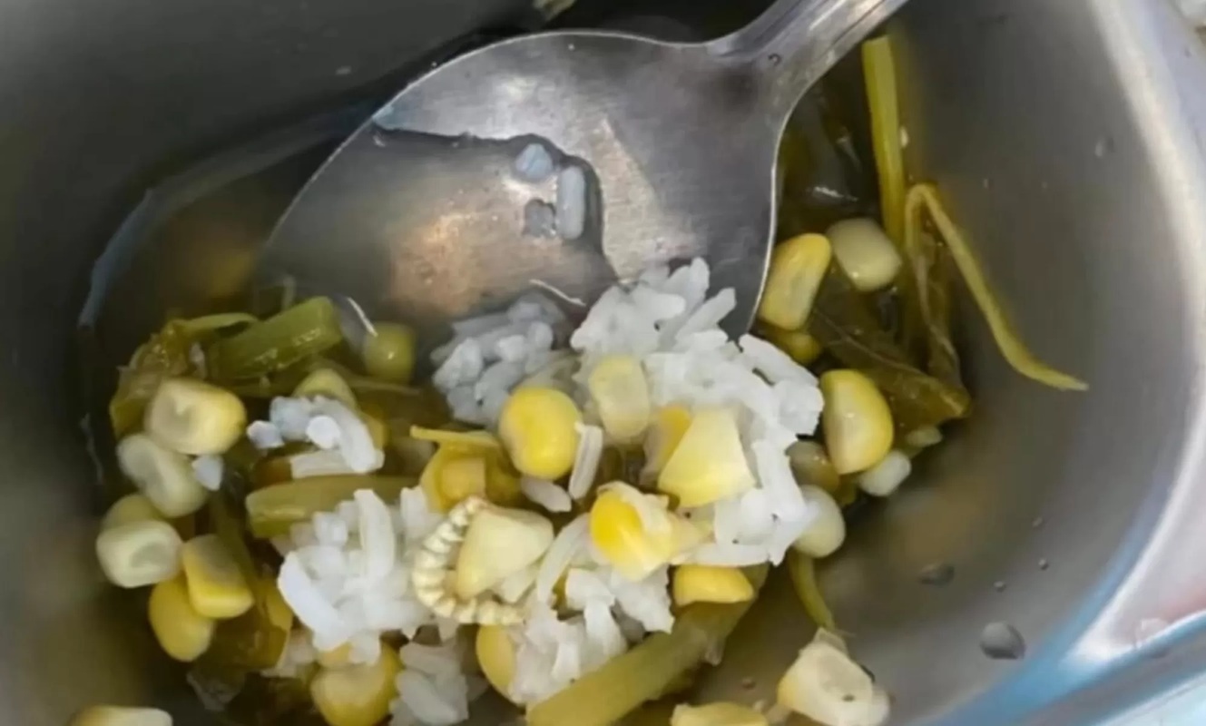 Ulat dalam Menu MBG