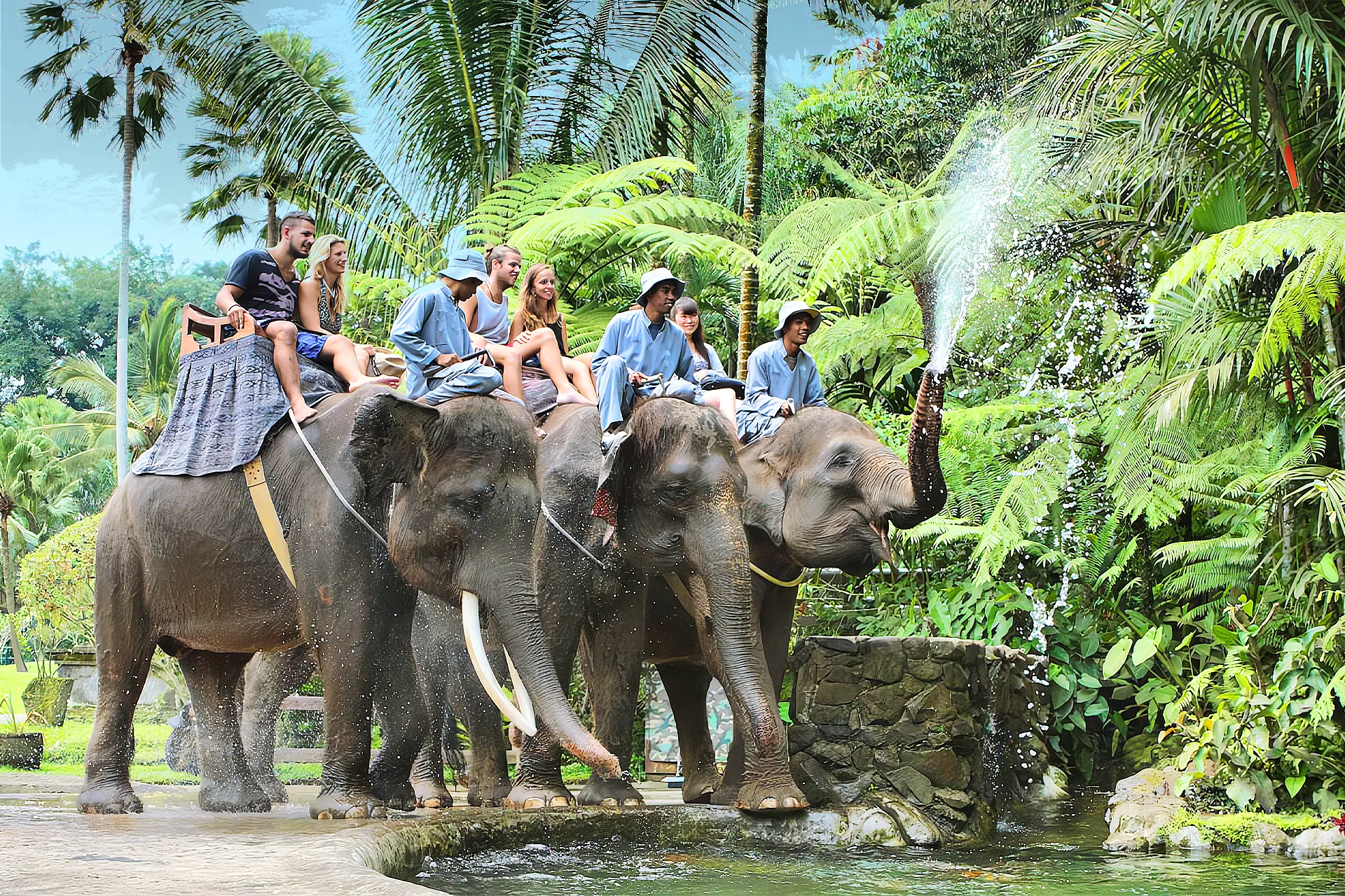 Mason Elephant Park