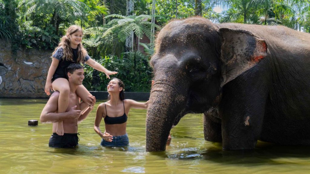 Tips Menikmati Wisata Mewah Ala Traveller