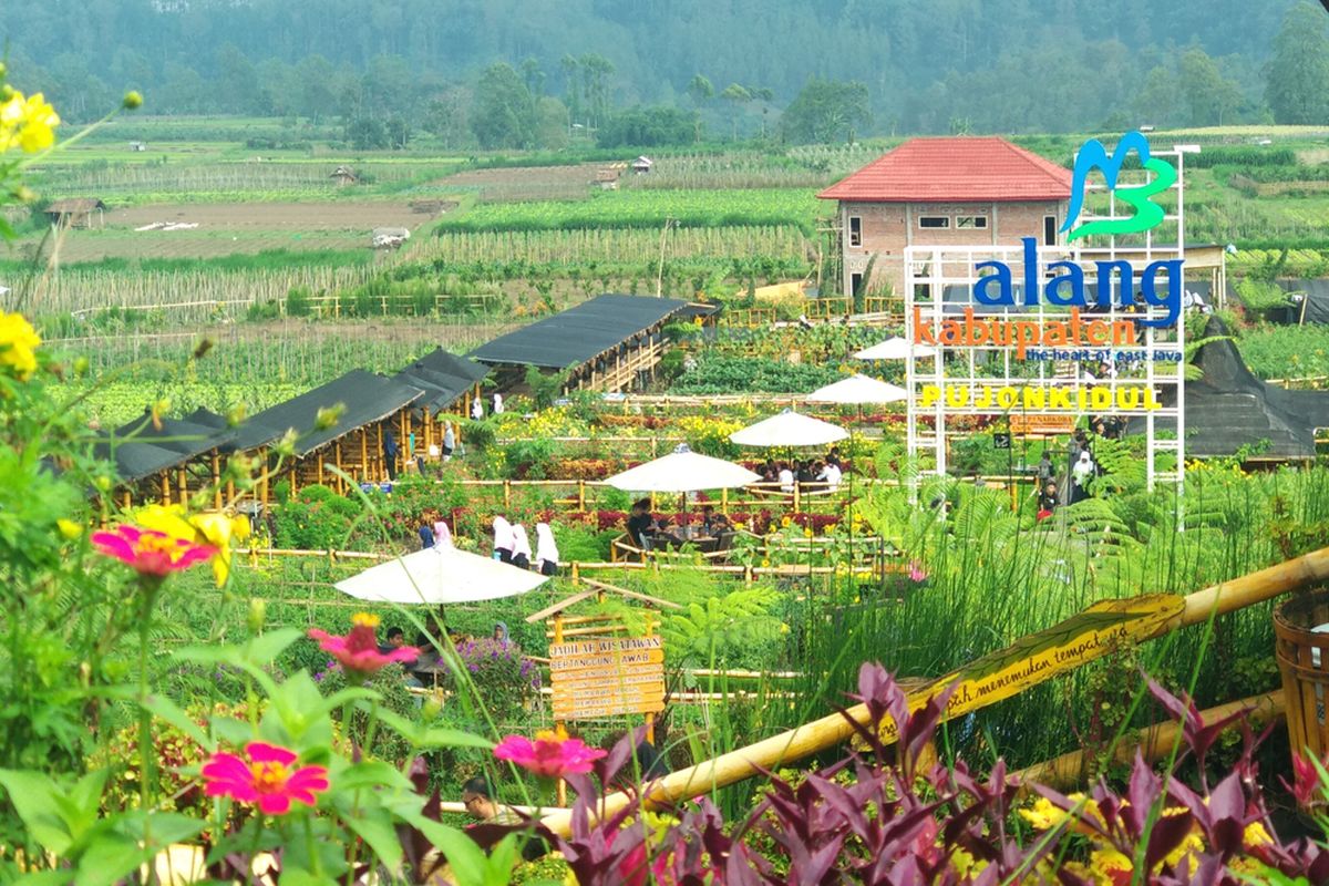 Cafe Sawah Pujon Kidul