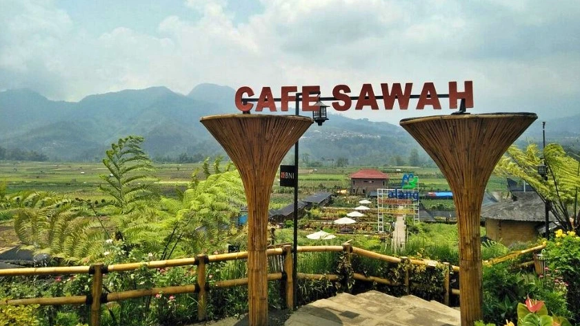 Cafe Sawah Pujon Kidul